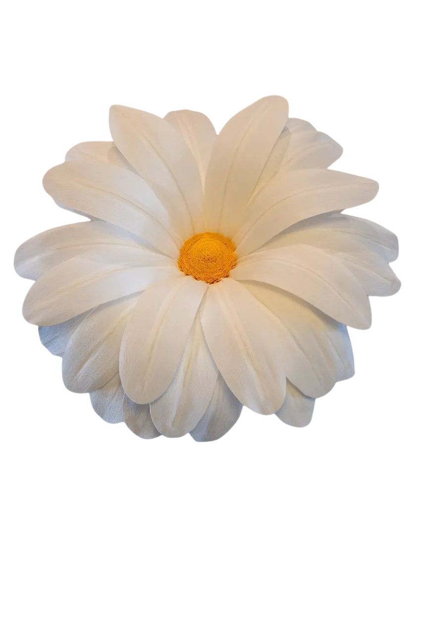 White Daisy 