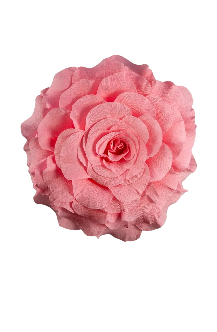 Medium Pink Rose 