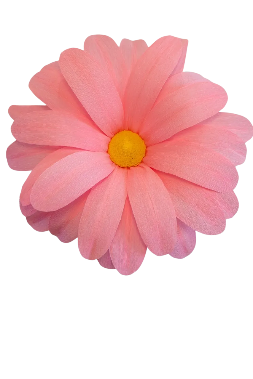 Medium Pink Daisy 