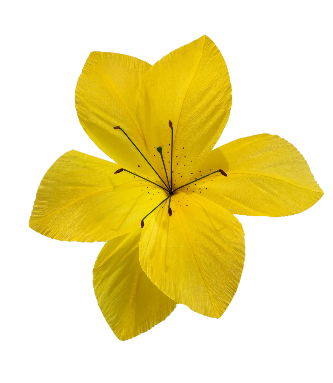 Bright Yellow Lily
