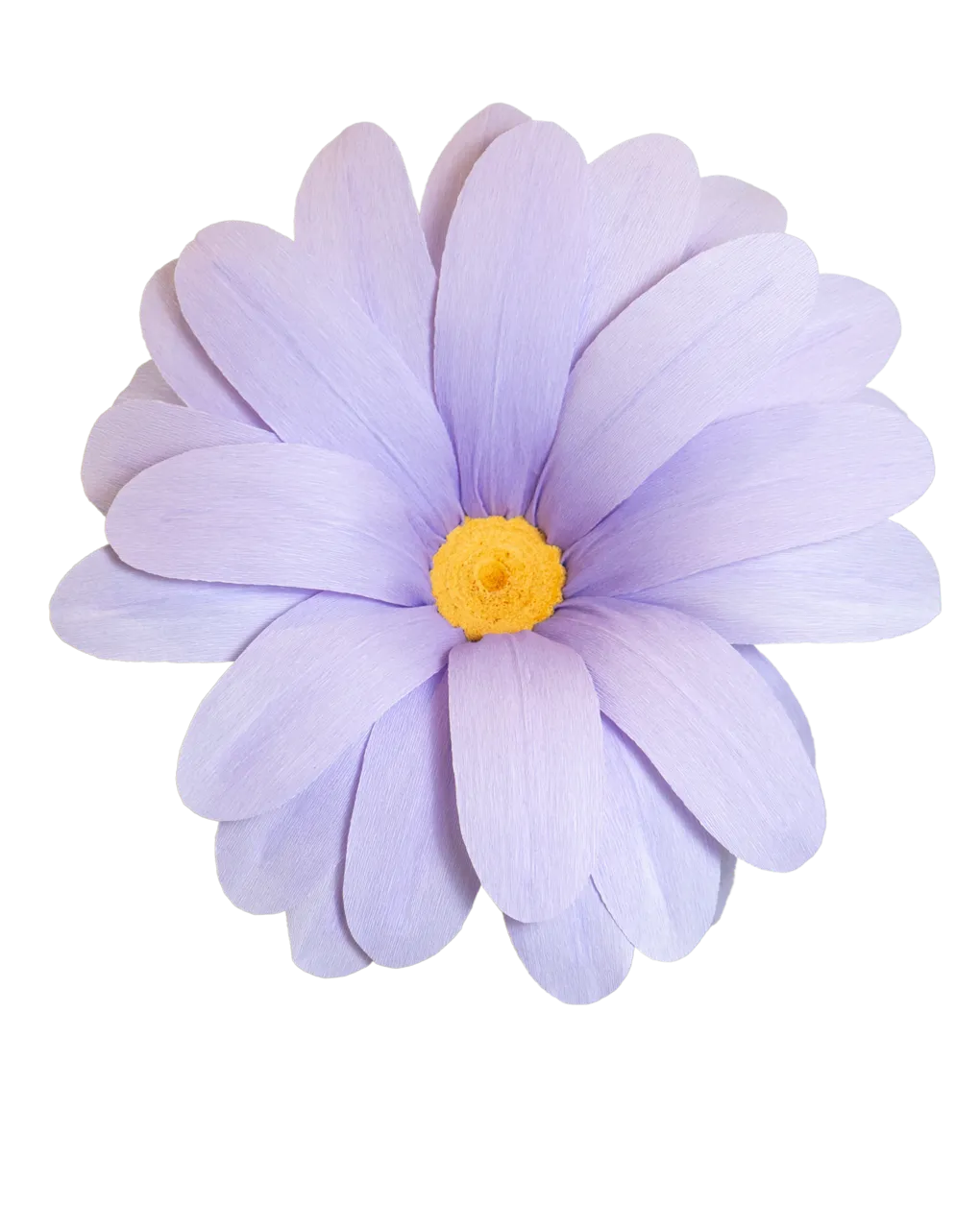 Light Purple Daisy