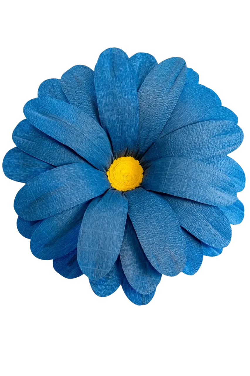 Medium Blue daisy 