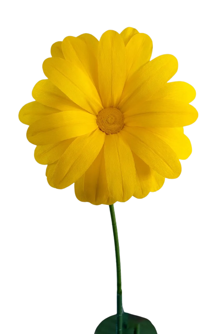 Medium Yellow Daisy 