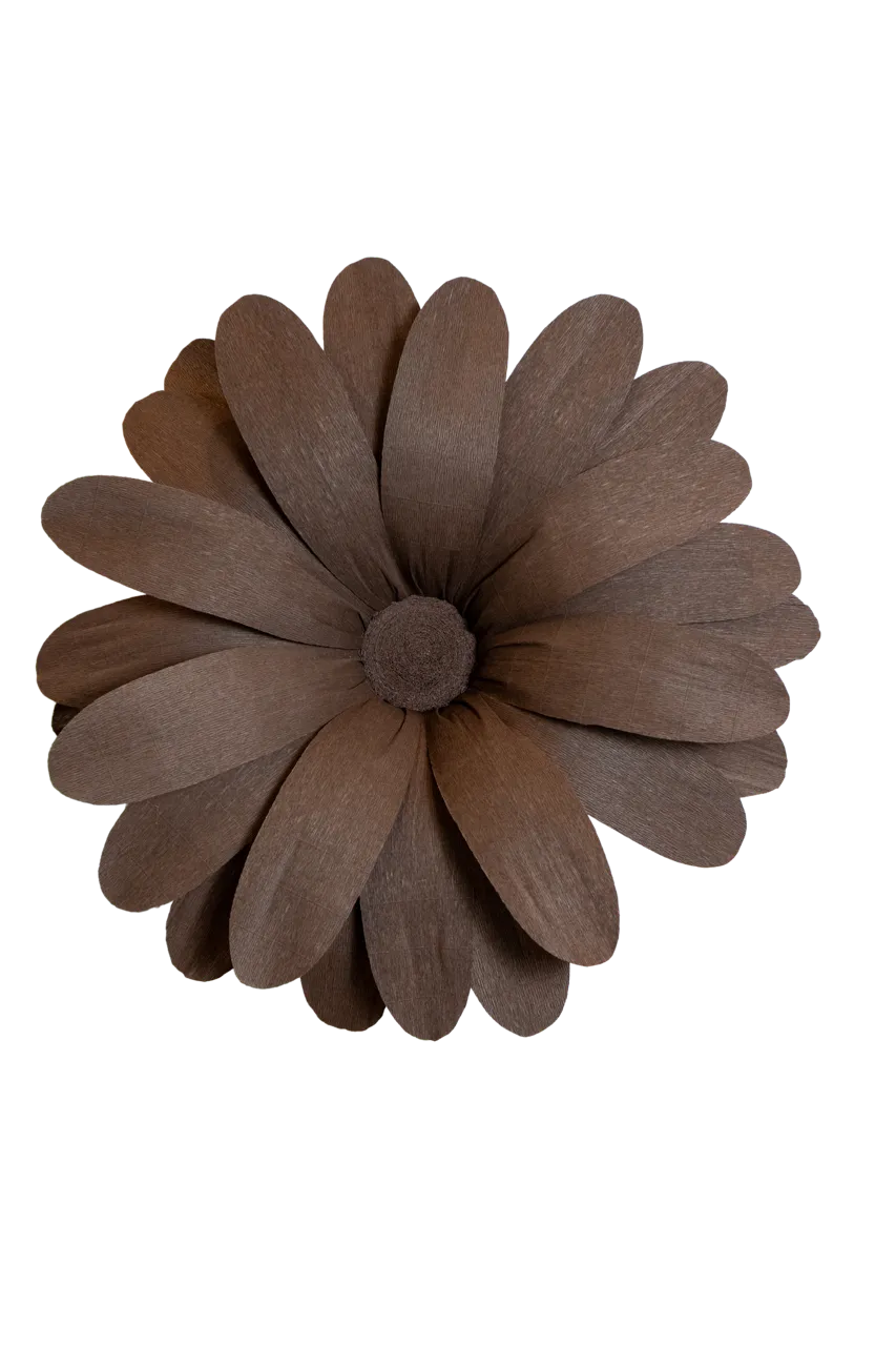 Extra Large Dark Brown Daisy with Brown Center