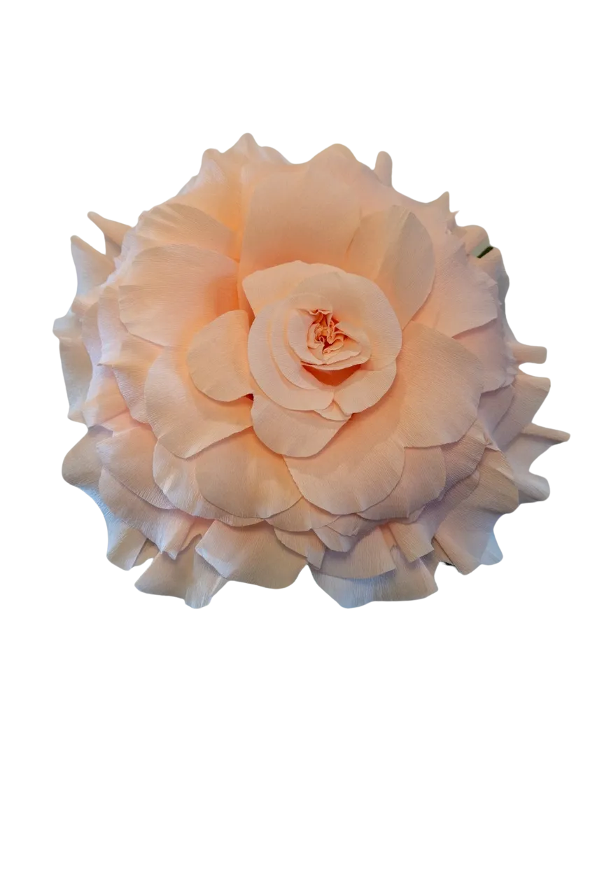 Champagne Rose