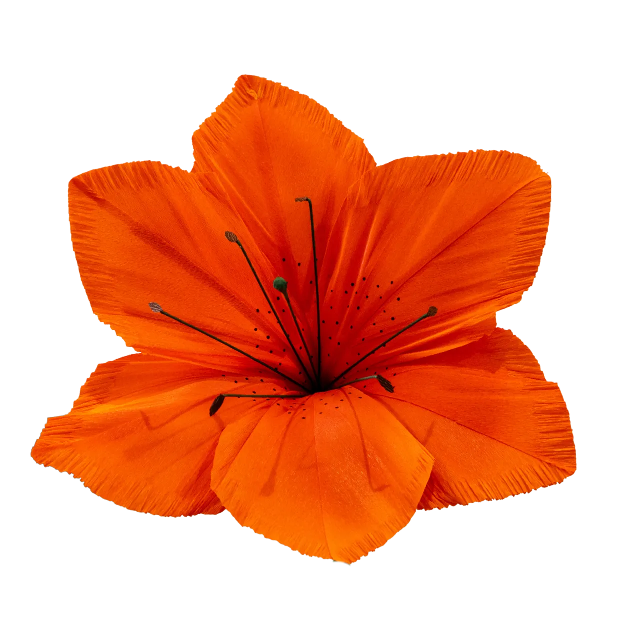 Bright Orange Lily