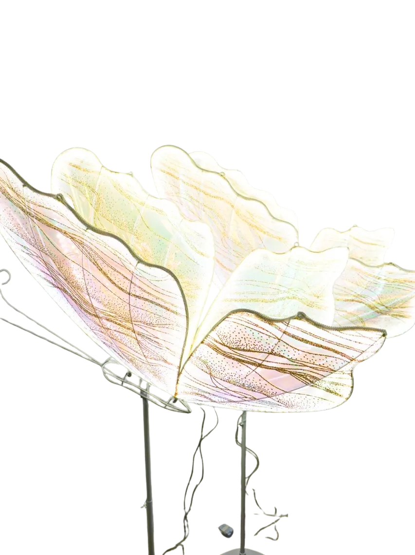 LED Warm White Butterfly Large 39 inch