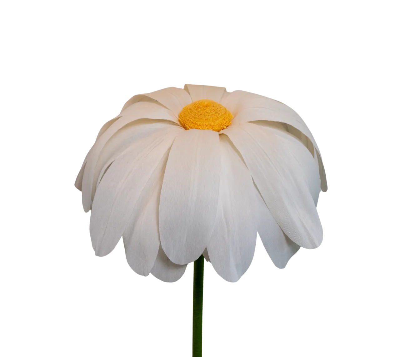 Extra Large White Floppy Daisy