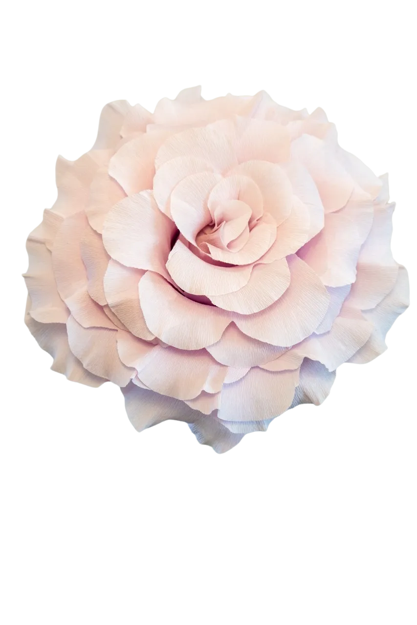 Light Purple Rose