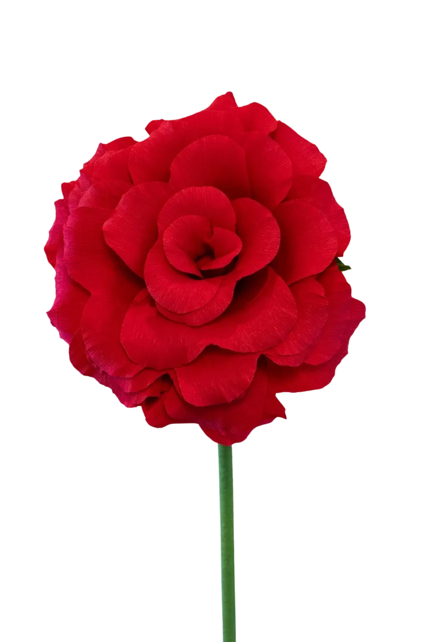 Red Rose