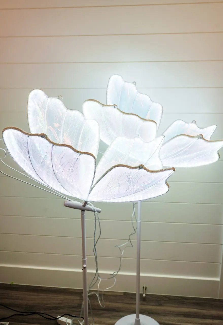 LED Butterfly Cool White Large 39 inch