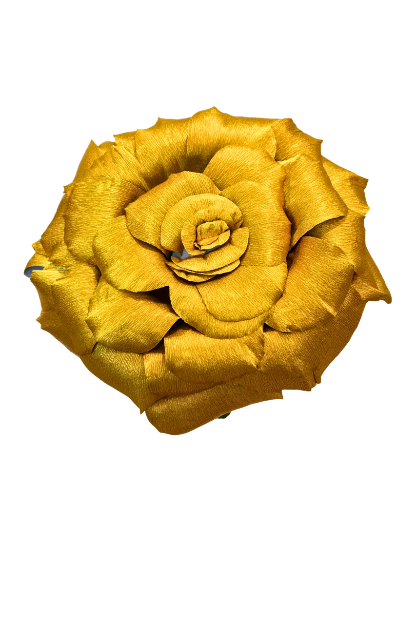 Gold Rose