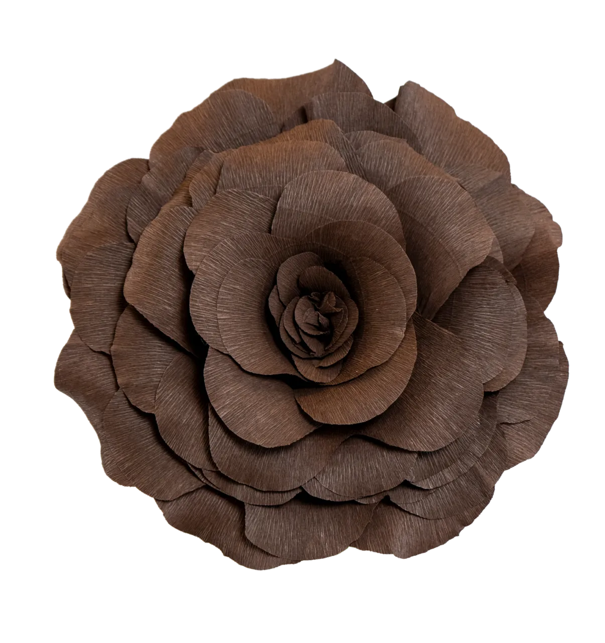 Dark Brown Rose