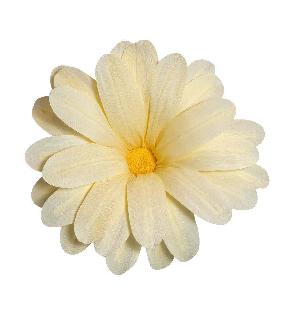 Ultra Light Yellow Daisy