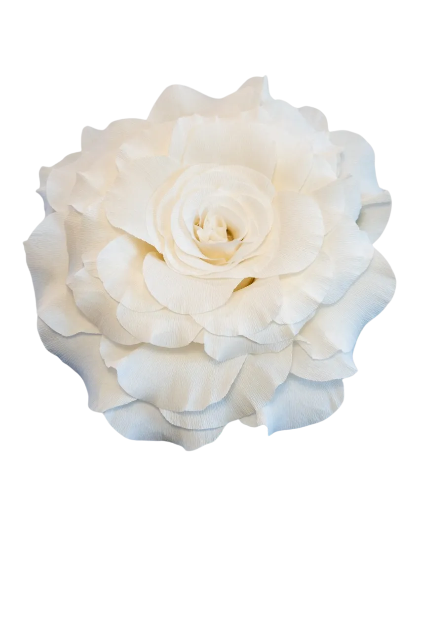 White Rose