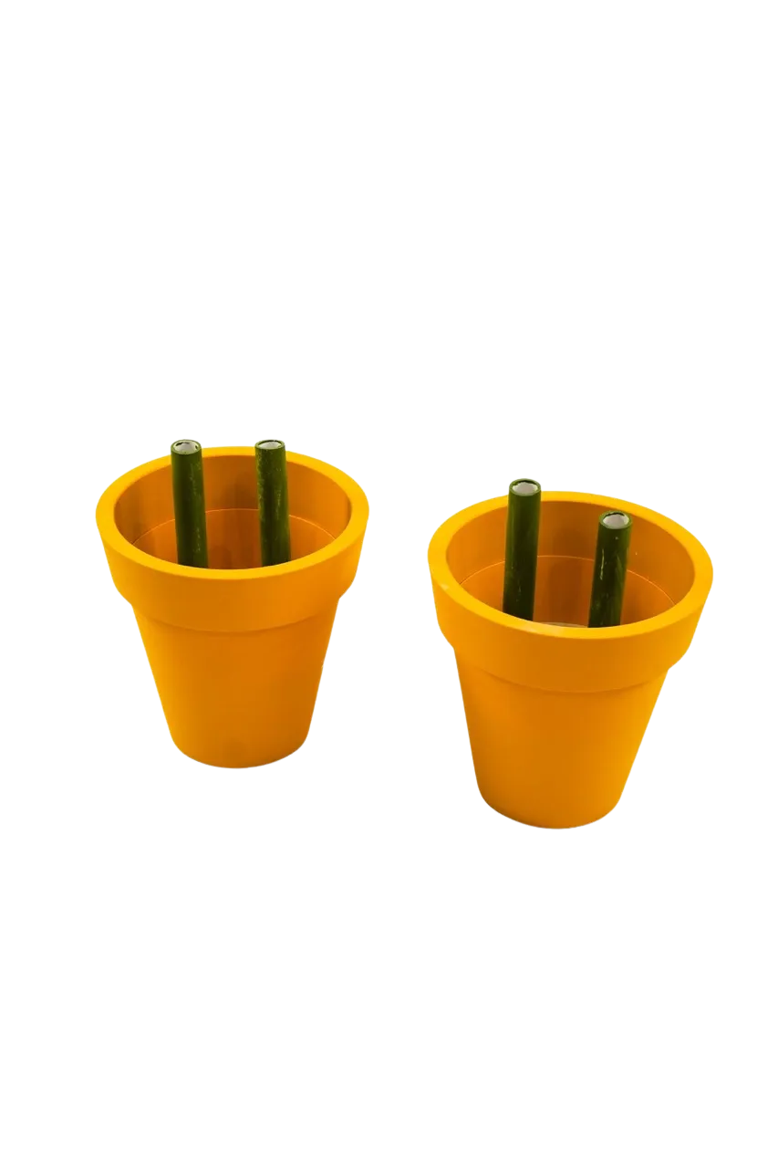 Yellow Pot Flower Base/ Stand (2 Flowers)