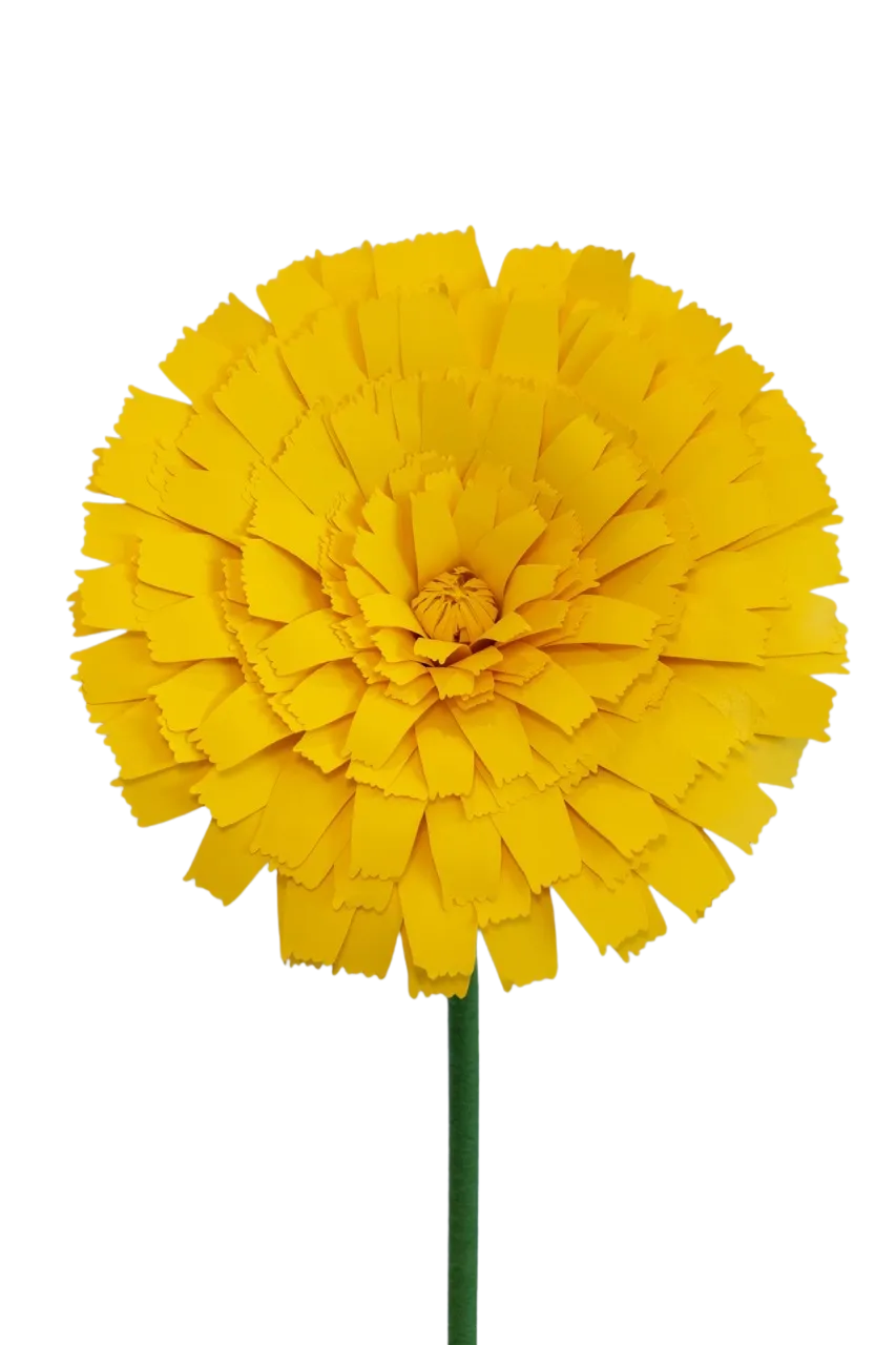 Dandelion flower