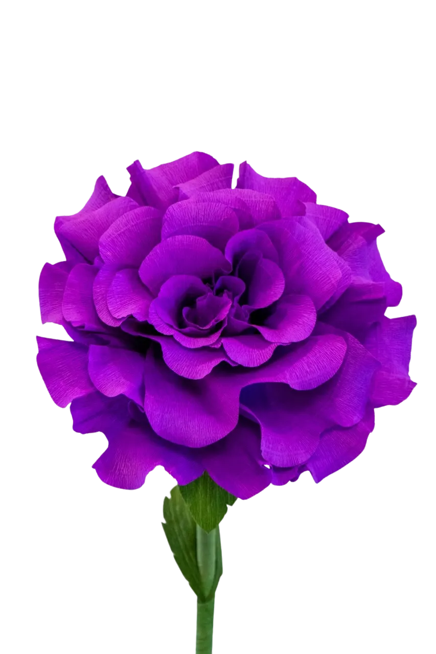 Dark Purple Rose