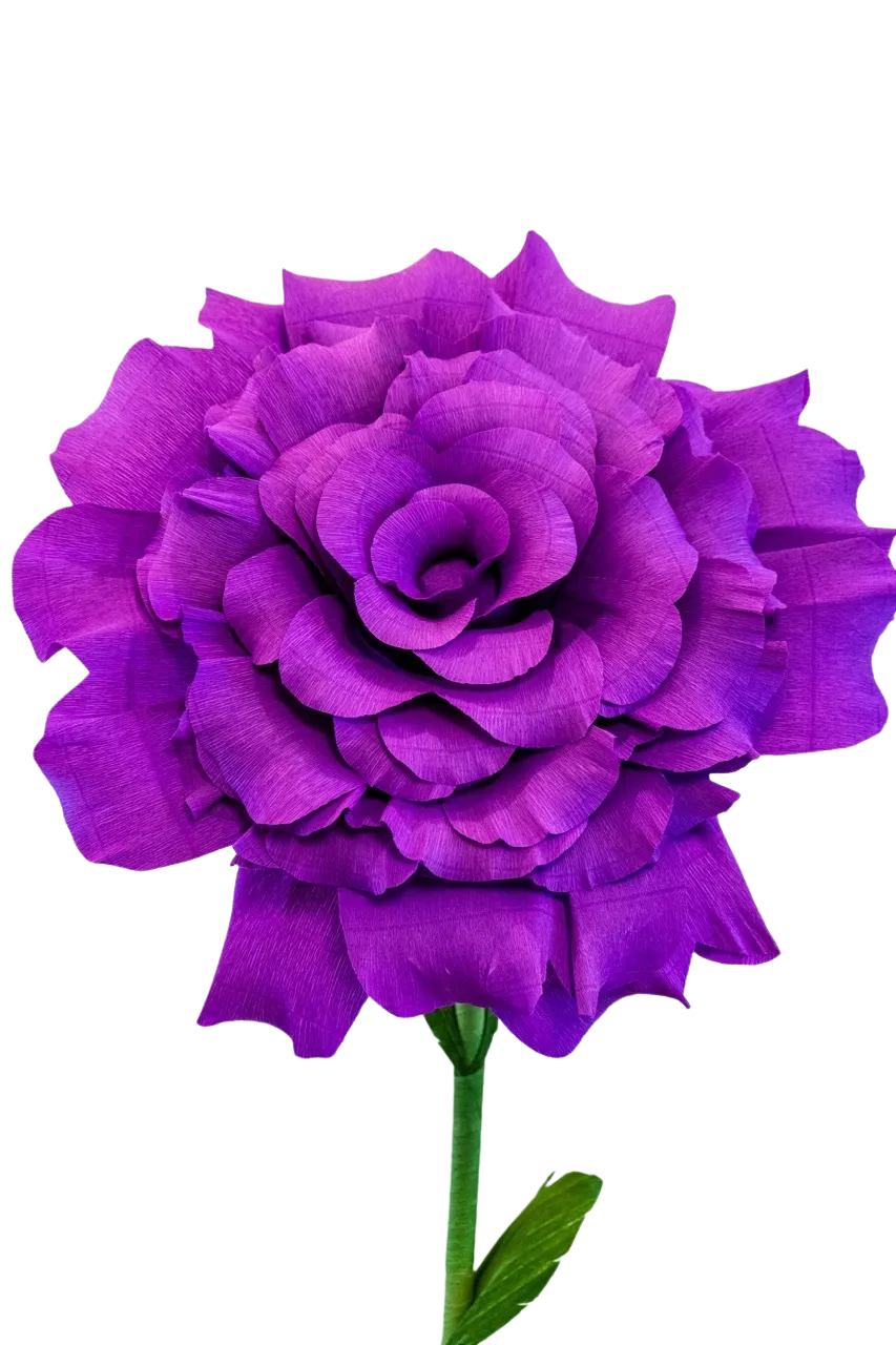 Large Dark Purple Rose