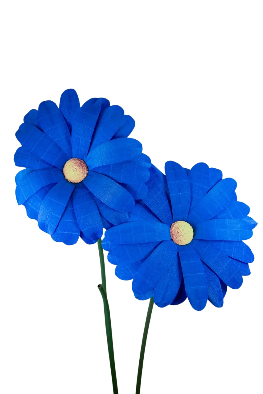 Dark Bright Blue Daisy