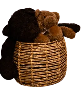 Bears in Basket