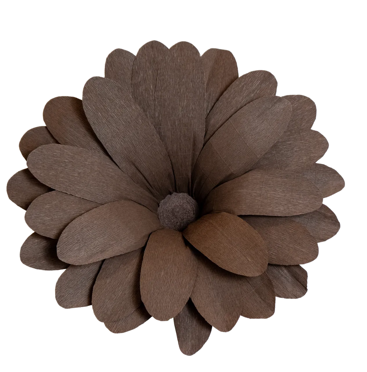 Dark Brown Daisy with Brown Center