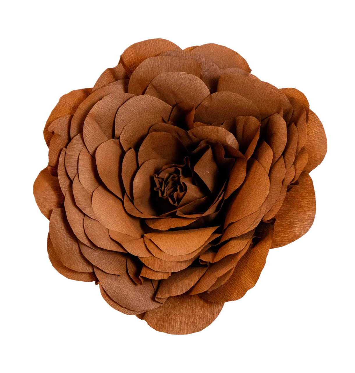 Medium Brown Rose