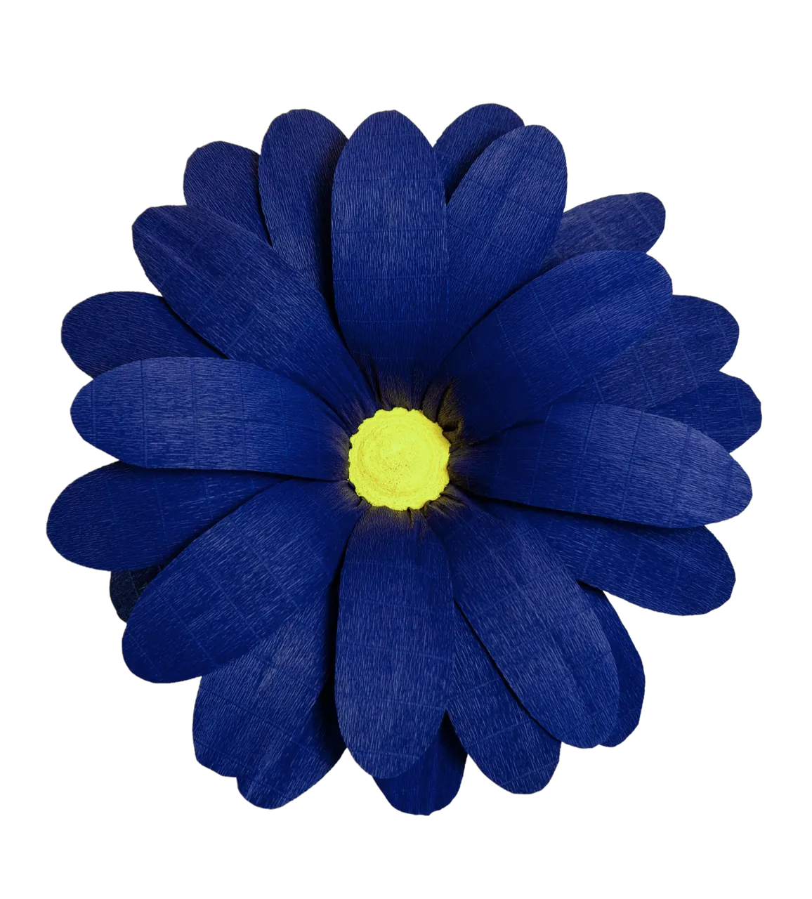 Extra Large Dark Blue Daisy