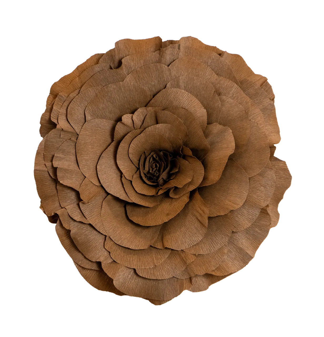 Chocolate Brown Rose