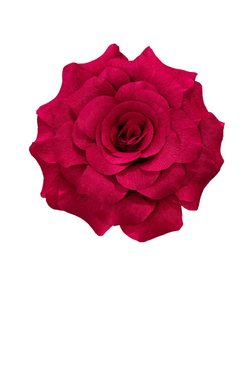 Burgundy Rose