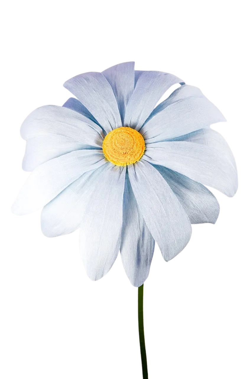 Extra Large Light Blue Daisy with Soft Yellow Center