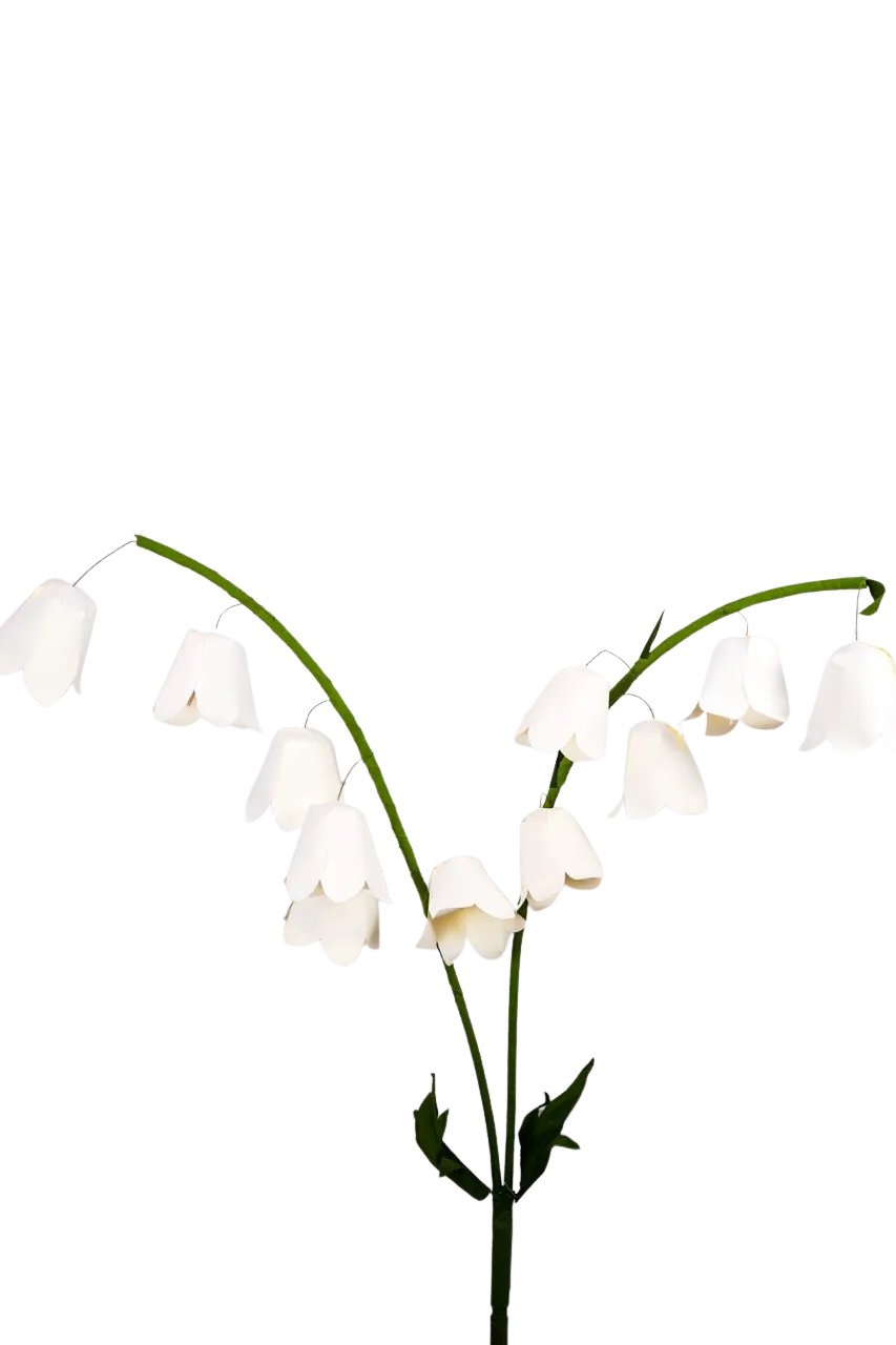 Lily of the Valley