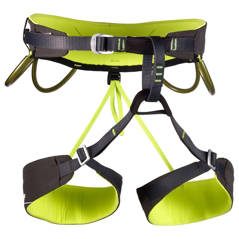 Harness