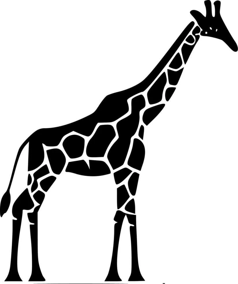 Girafas