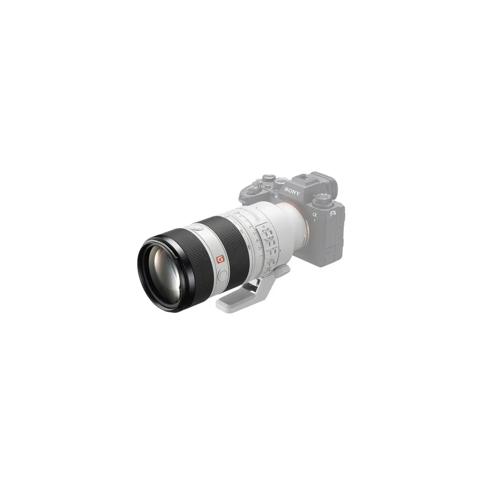 Sony FE 70-200 mm F2.8 GM OSS