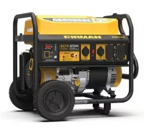 Generator - Firman P06702 