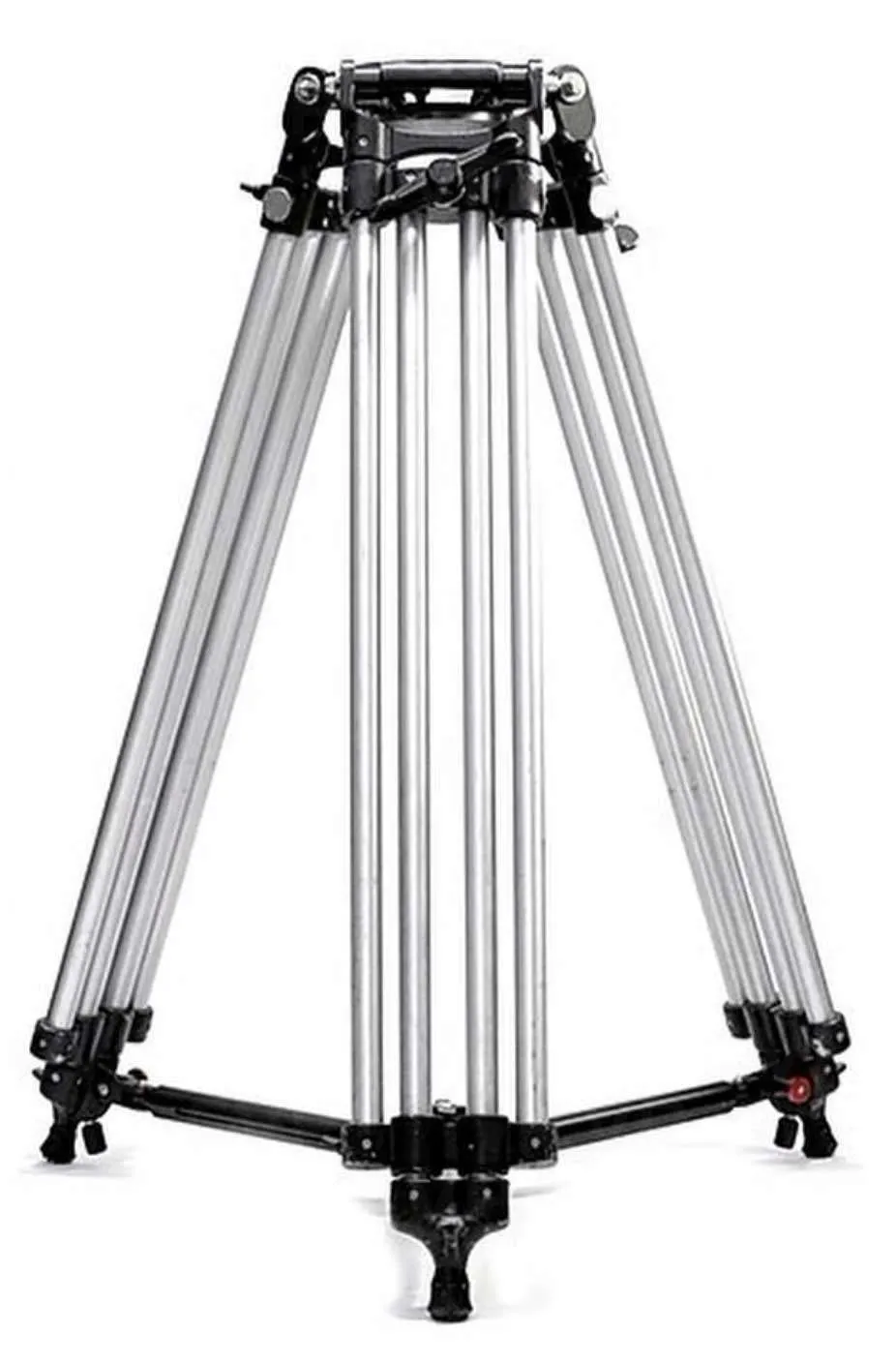 Chewa Tall Leg