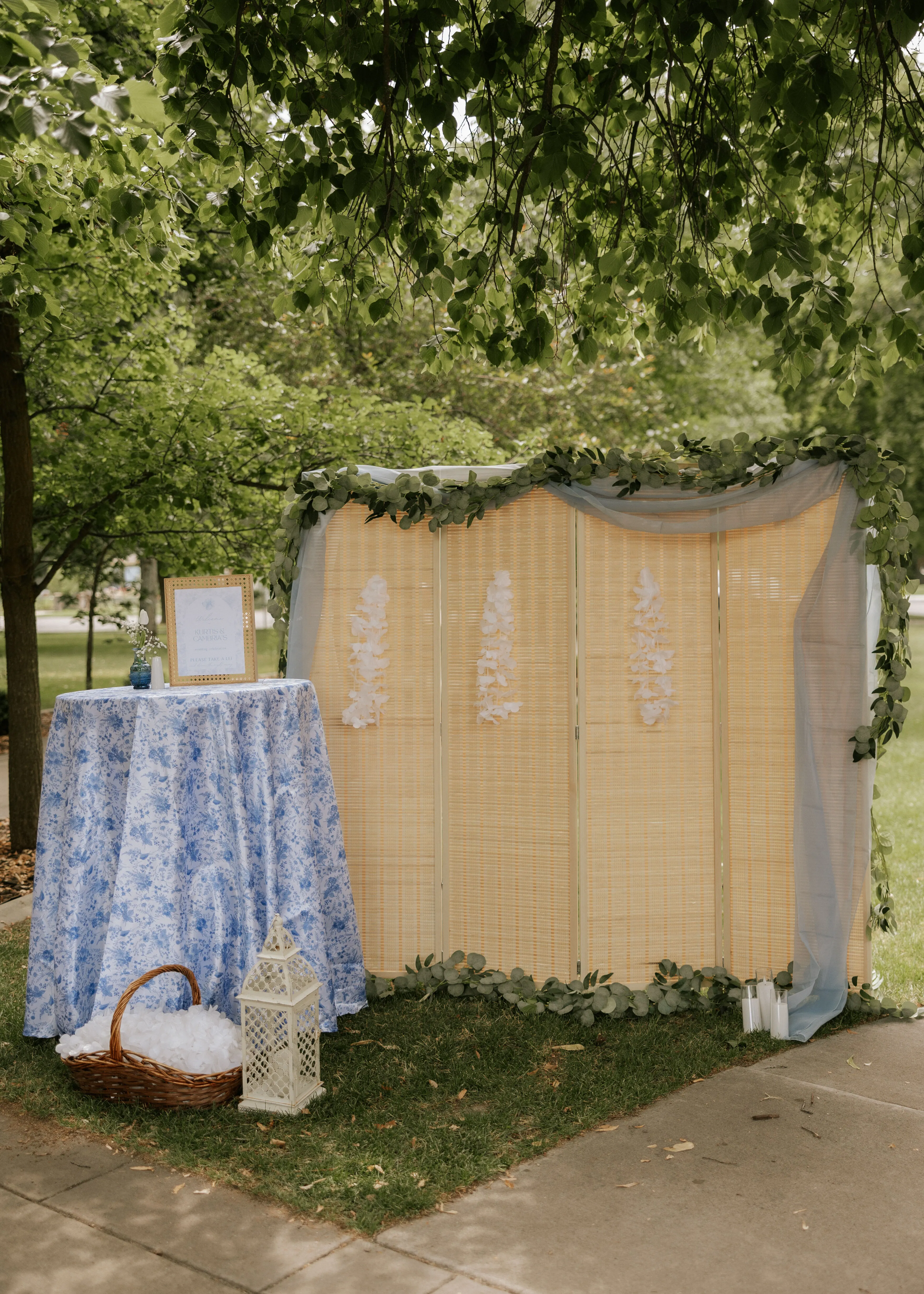 Bamboo Horizon Backdrop