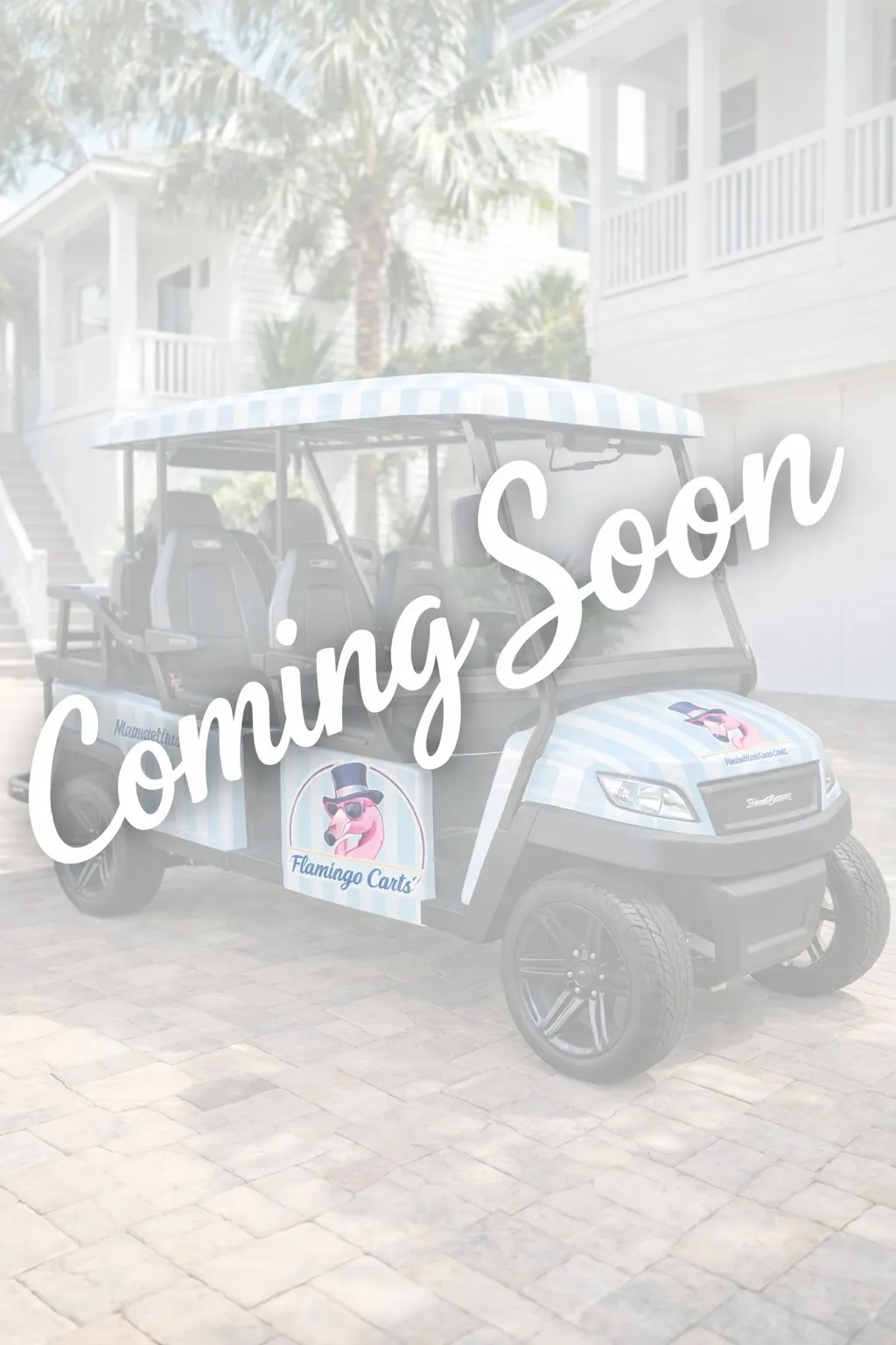 6 SEATER PREMIUM COASTAL CRUISER