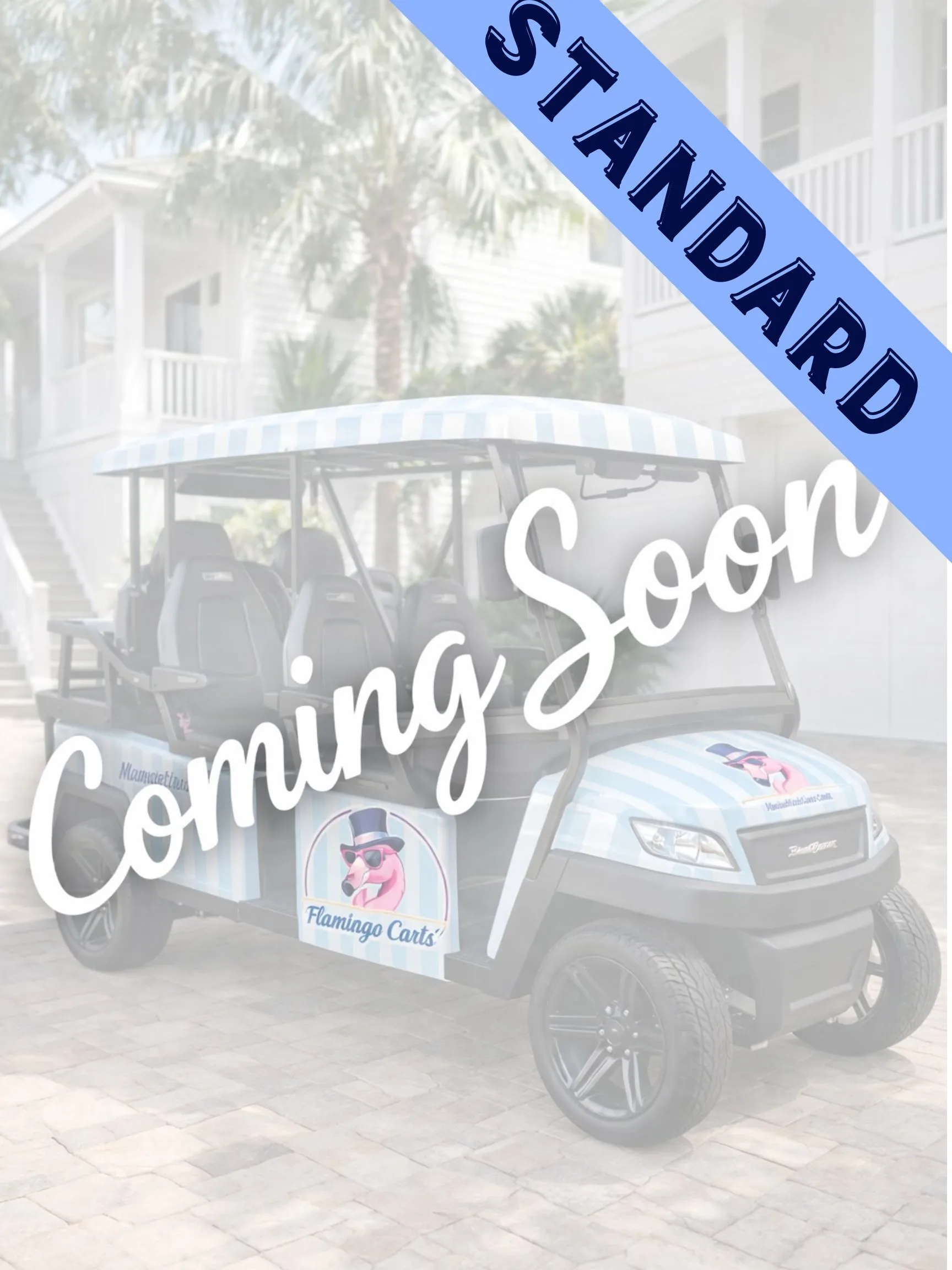 4 SEATER STANDARD CART (GAS)
