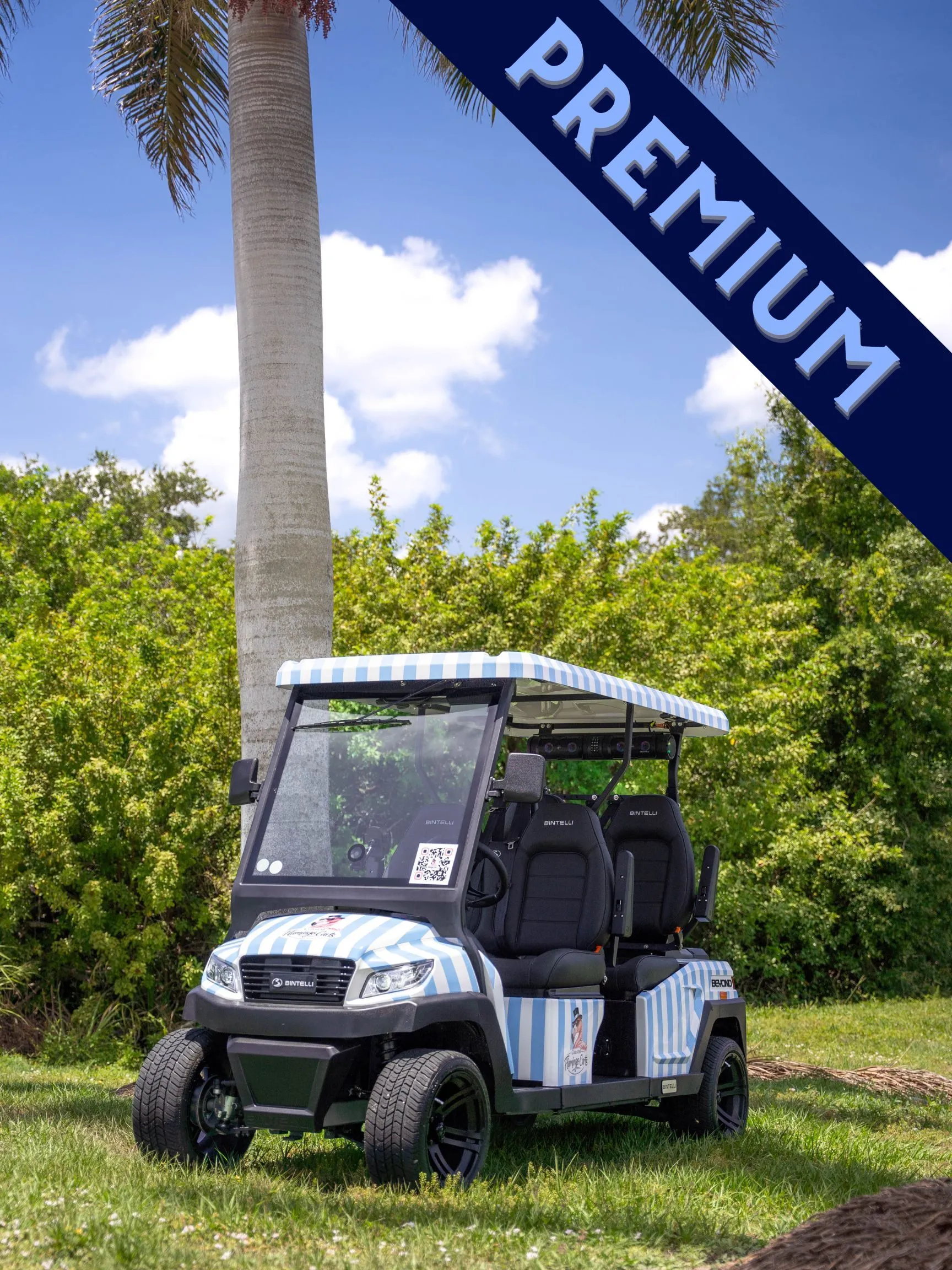 4 - SEATER PREMIUM COASTAL CRUISER