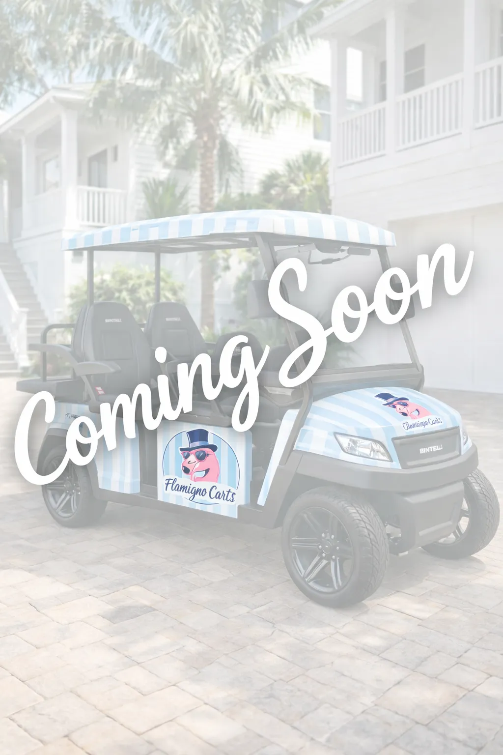 4 - SEATER PREMIUM COASTAL CRUISER