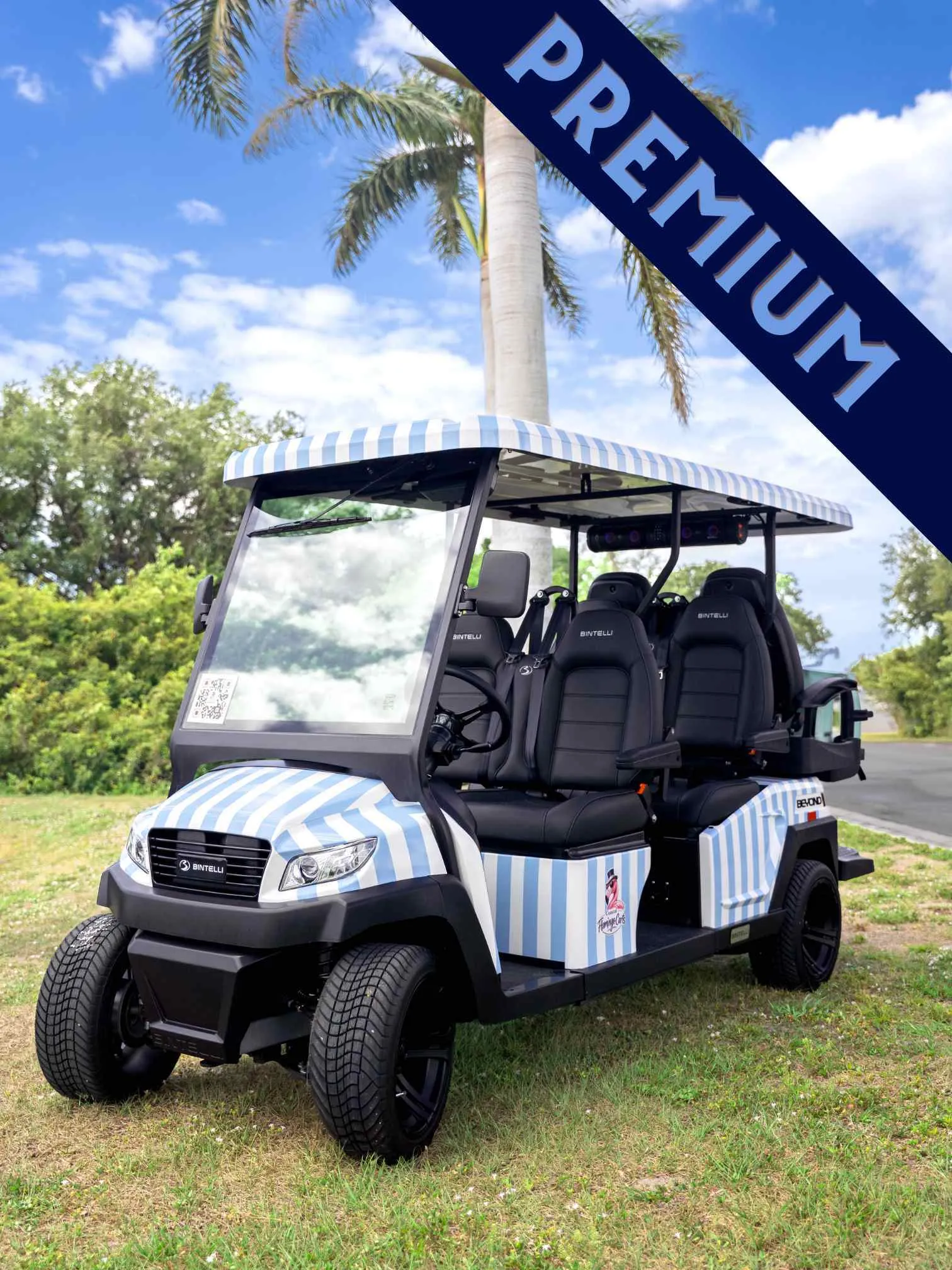 6 SEATER PREMIUM COASTAL CRUISER