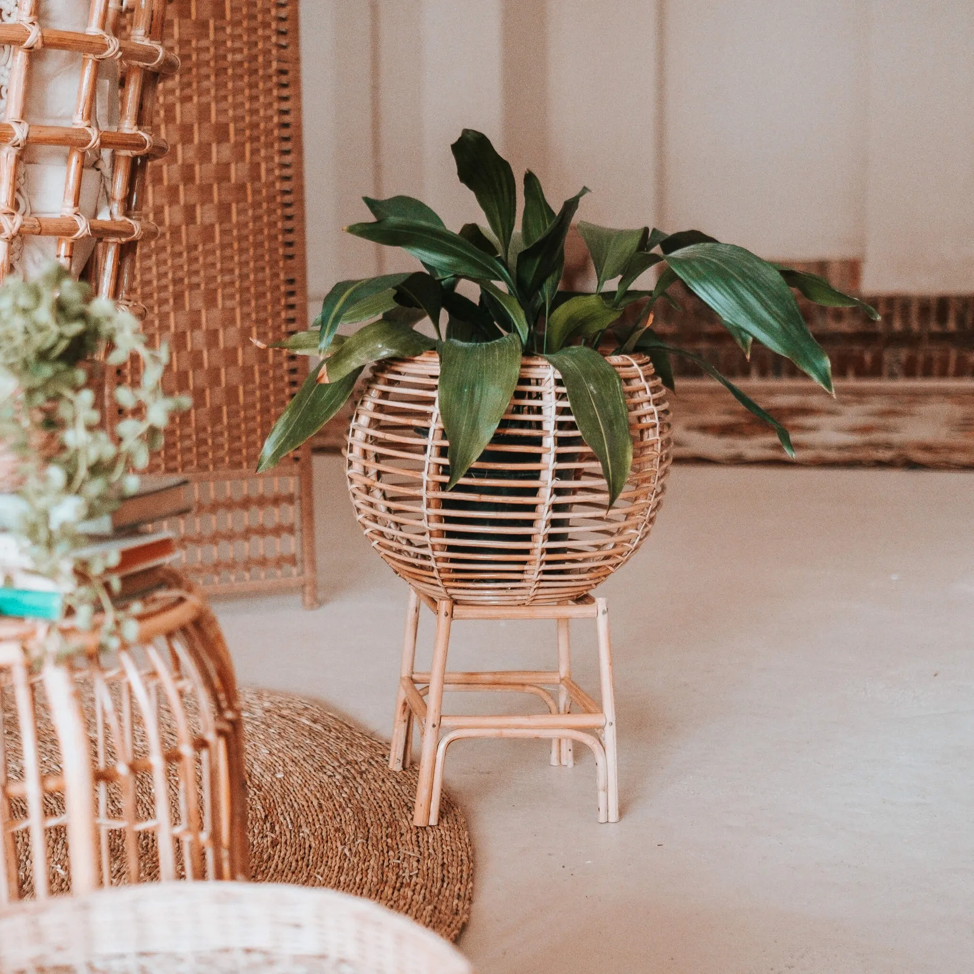 Ratanový stojan na květinu ANUKI