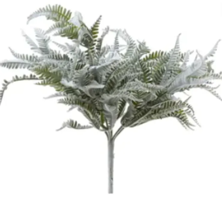 Lamb bush