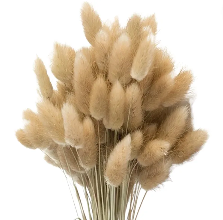 Bunny tails bunch