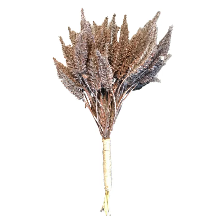 Chestnut Brush Spray 33cm