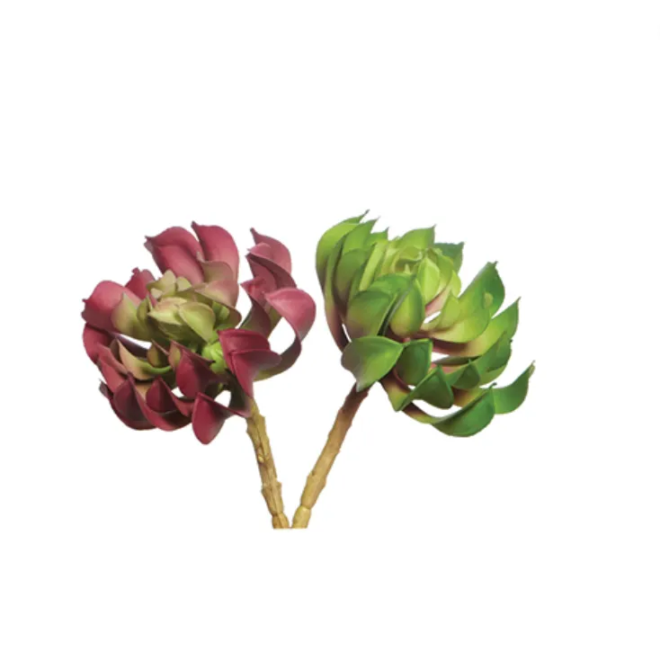 Pink, green succulent stem 2 ass