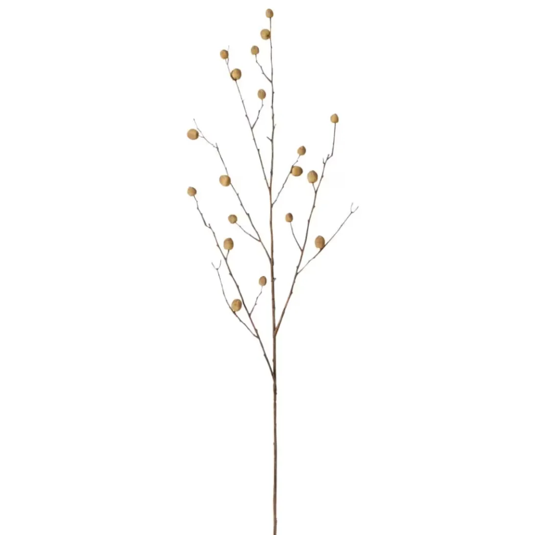 Berry Pod Stem Natural