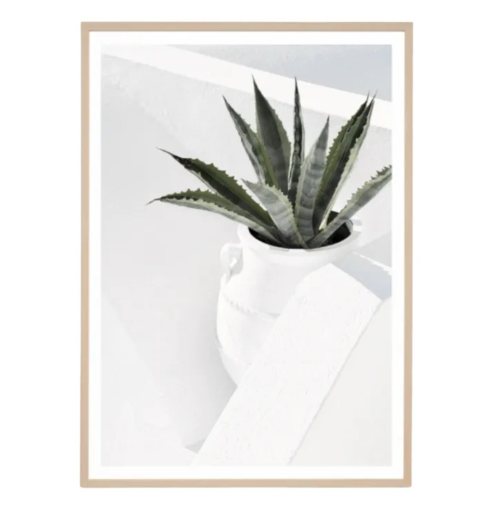 Summer Agave Artwork